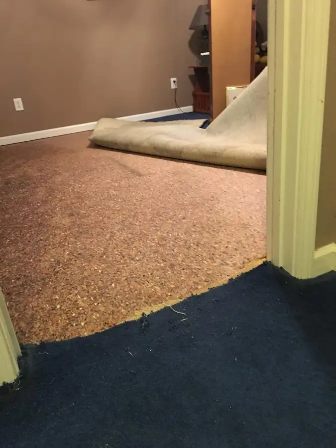 Carpet pad removal revealing water damage during Water Mitigation Services in Florham Park