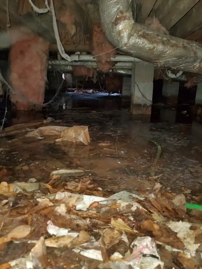 Crawl space flood assessment for Leak Detection & Repair in Florham Park