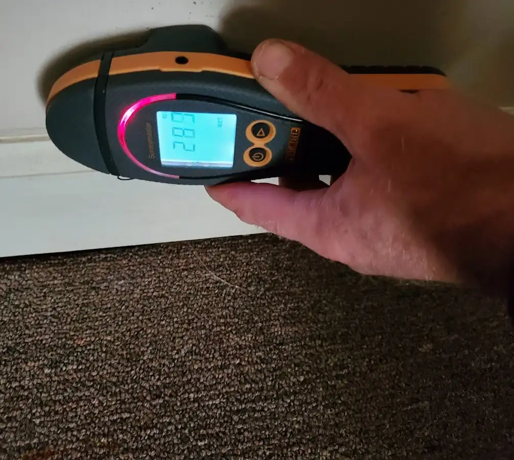 Moisture detection at baseboard during Sewage Cleanup & Sanitation in Florham Park